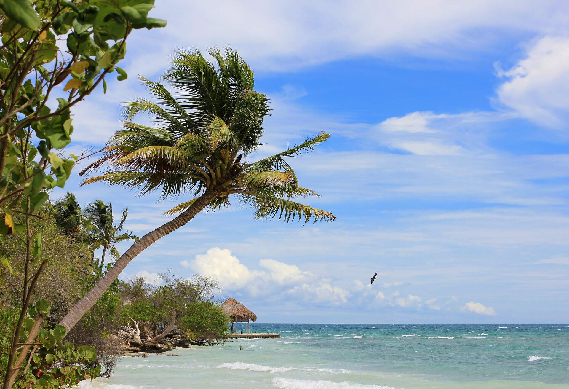 Primitive cottage in Isla Mucura in Colombia, Archipelago of San Bernardo.