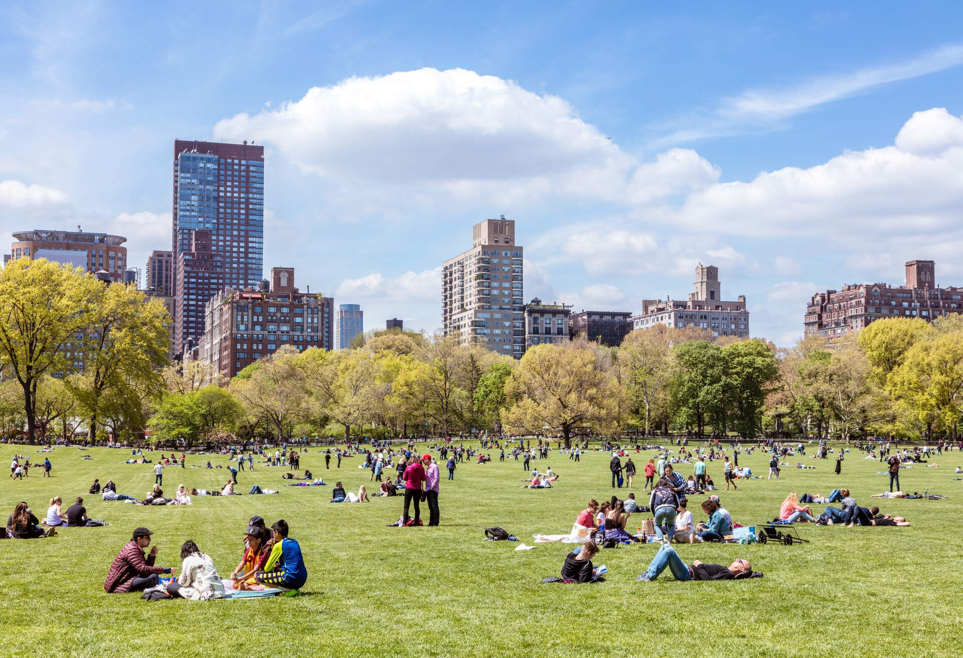 Central Park in springtime, New York city, USA