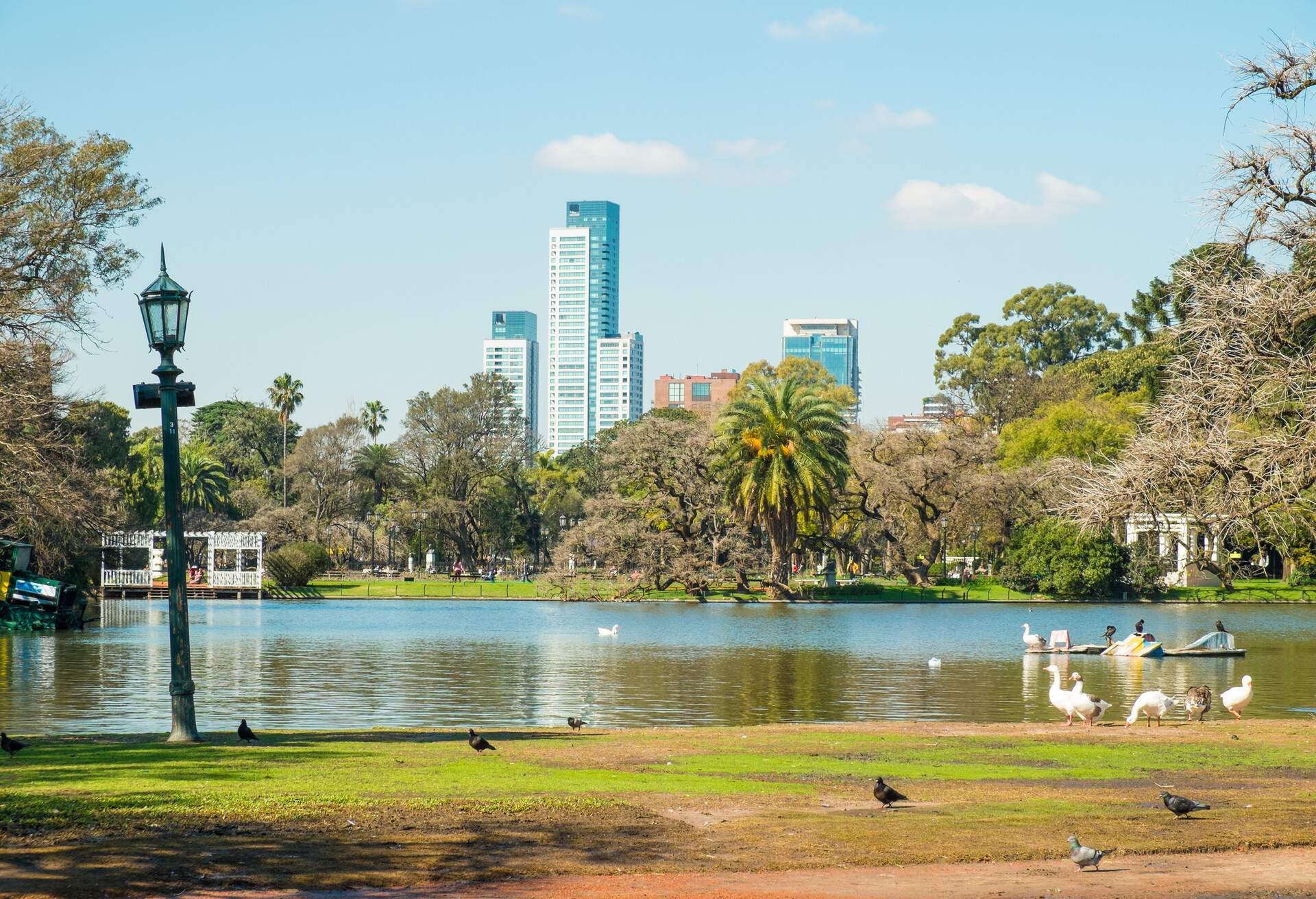 Downtown Buenos Aires parks in the Palermo neighborhood known as Palermo Woods