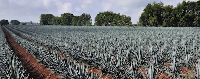 Foto: T photography / Shutterstock