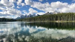 Busca vuelos baratos a Alberta