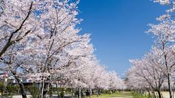Hoteles cerca de Aeropuerto Kagoshima