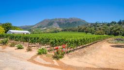 Renta de autos en Stellenbosch