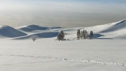 Hoteles cerca de Aeropuerto West Yellowstone