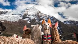 Hoteles cerca de Aeropuerto Cusco Internacional Alejandro Velasco Astete