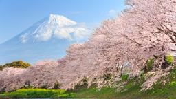 Hoteles en Japón