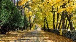Busca vuelos baratos a Massachusetts