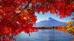 Encuentra vuelos baratos a Japón