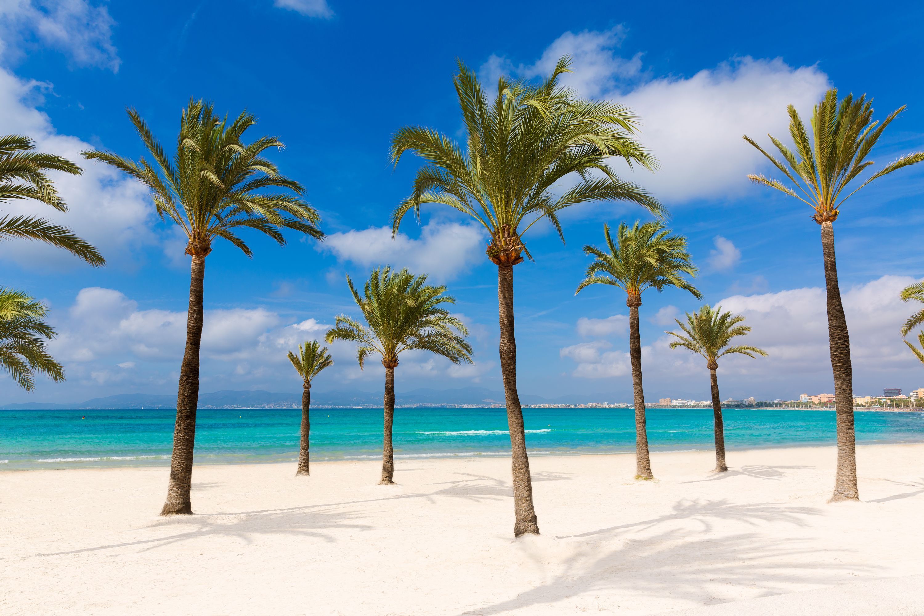 Hoteles en El Arenal (Mallorca)