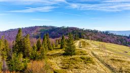 Hoteles en Silesia