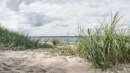 Alquileres vacacionales - Schleswig Holstein