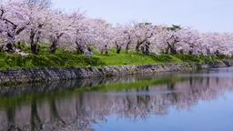 Hoteles cerca de Aeropuerto Hakodate