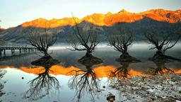 Alquileres vacacionales - Lago Wakatipu