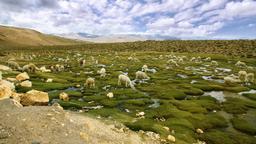 Hoteles en Atacama