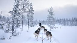 Renta de autos en Kuusamo