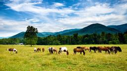 Hoteles en Tennesse