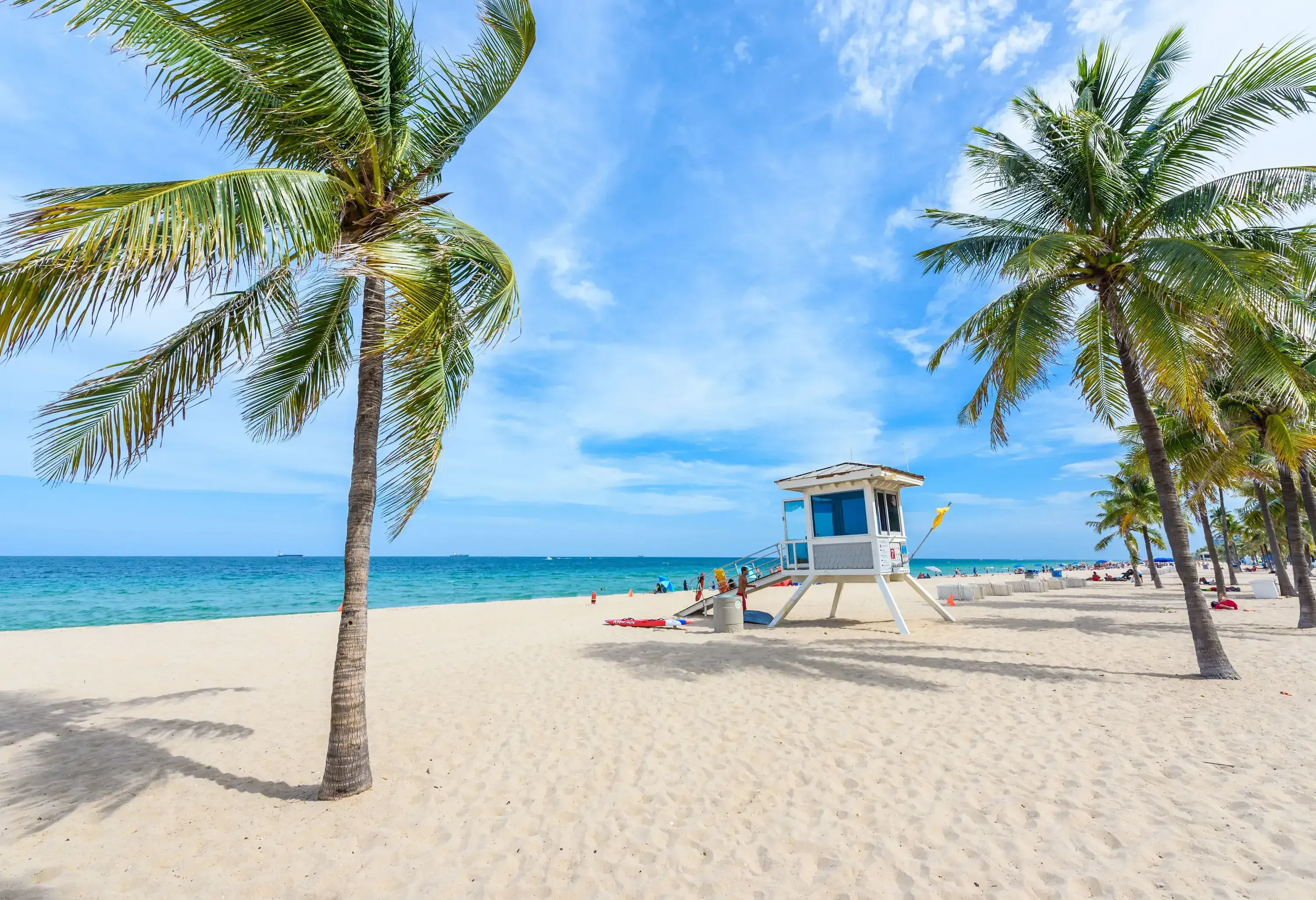 A lifeguard tower set on a pristine beach with a grove of palm trees.