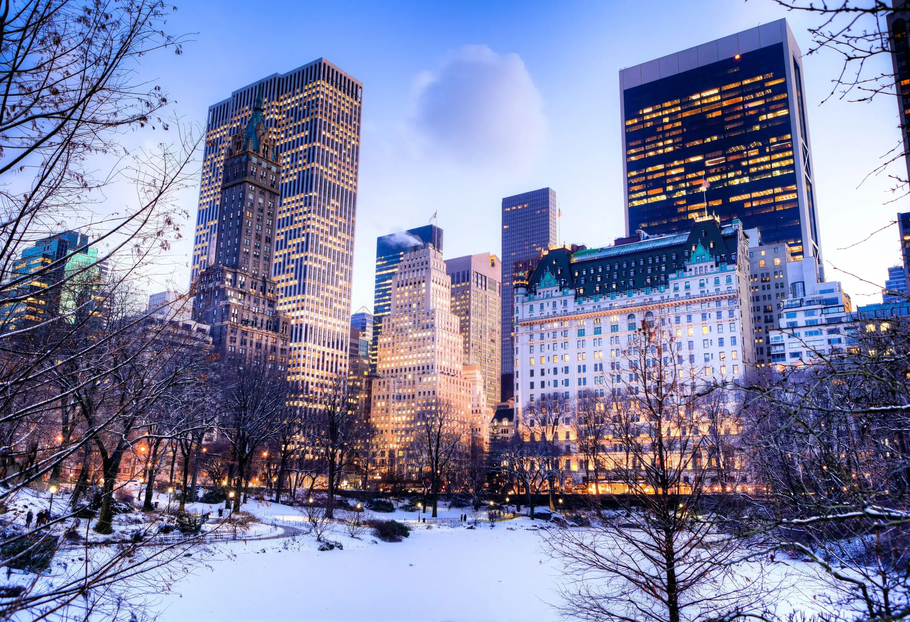 A serene, snow-covered park with bare trees against a backdrop of brightly lit skyscrapers at night.