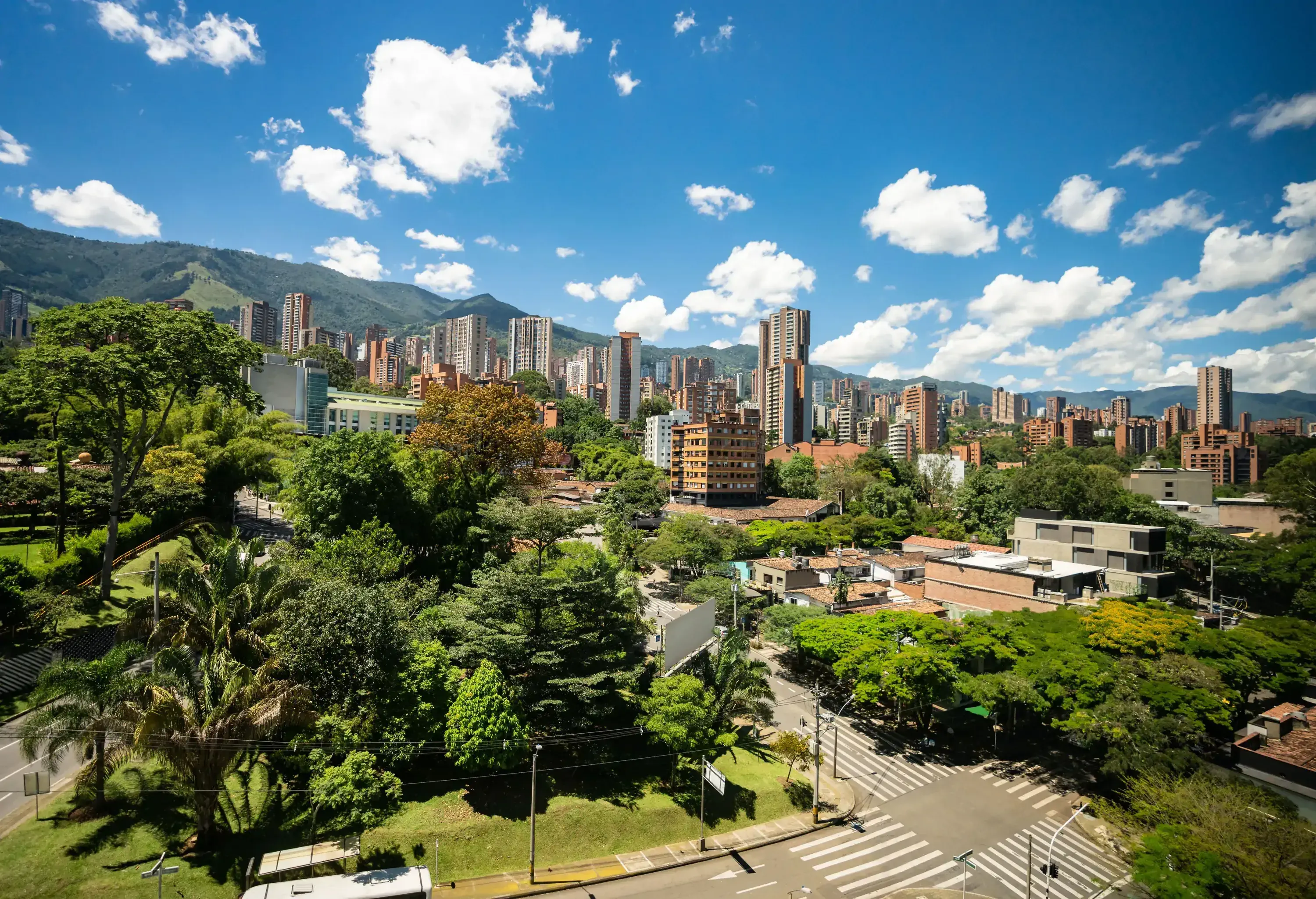An intersection hidden within the lush canopy of trees in the foreground leads to a sprawling city with a vibrant skyline, backed by the grandeur of a distant mountain range.