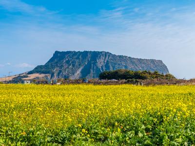 Ciudad de Jeju