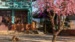 Hoteles cerca de Aeropuerto Dalat Lien Khuong Intl