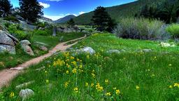 Alquileres vacacionales - Rocky Mountain National Park