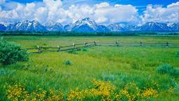 Alquileres vacacionales - Parque Nacional de Grand Teton