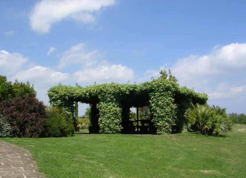 Vista del exterior Foto