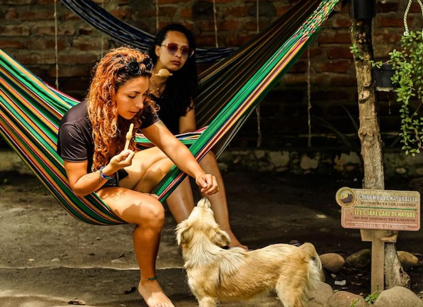 Otros Foto