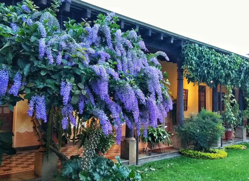 Vista del exterior Foto