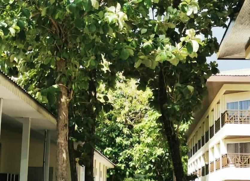 Vista del exterior Foto