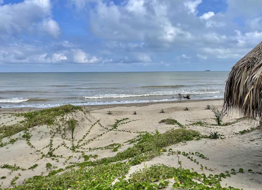 Playa Foto