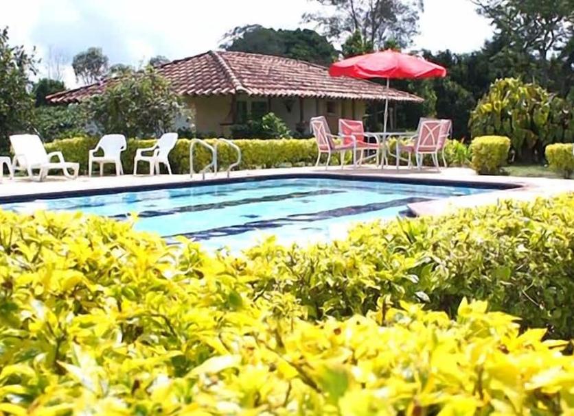 Piscina Foto