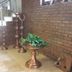 Servicio de la habitación