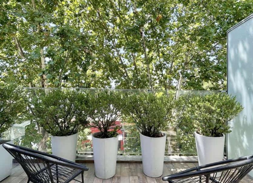Patio Foto