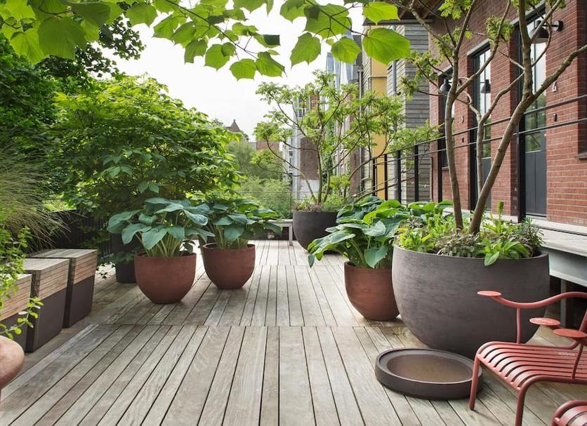 Patio Foto