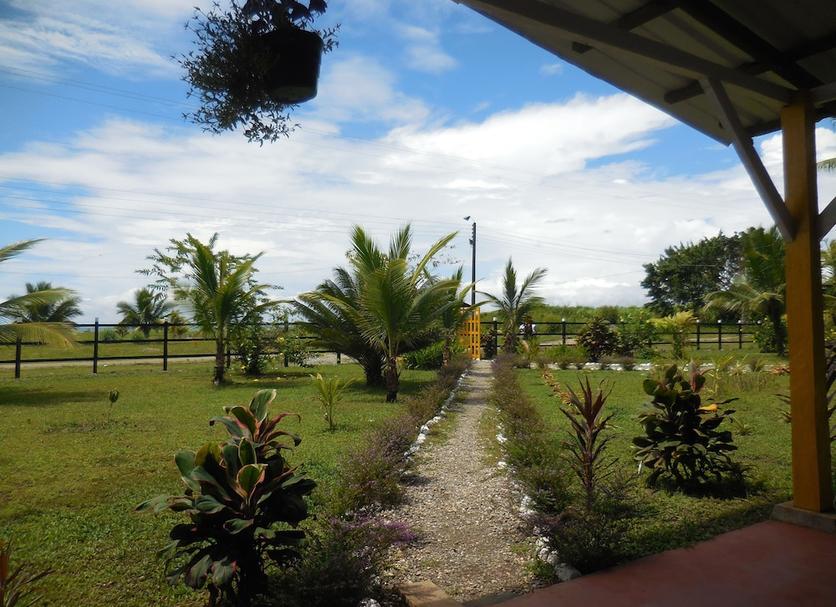 Vista del exterior Foto