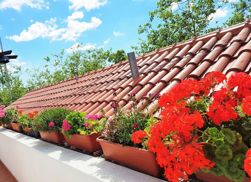 Vista del exterior Foto