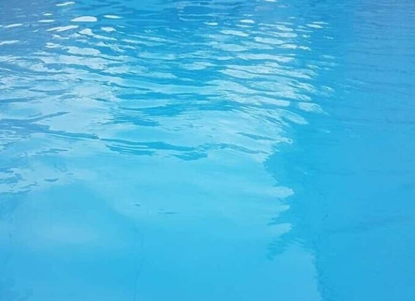 Otros Foto
