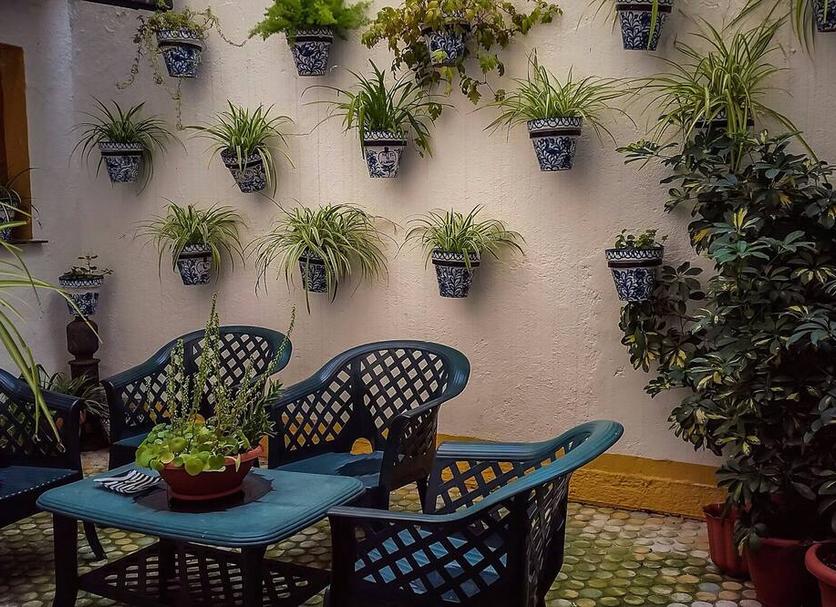 Patio Foto