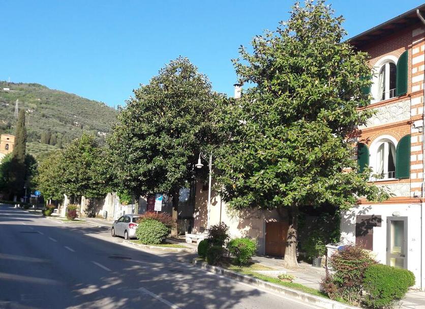 Vista del exterior Foto