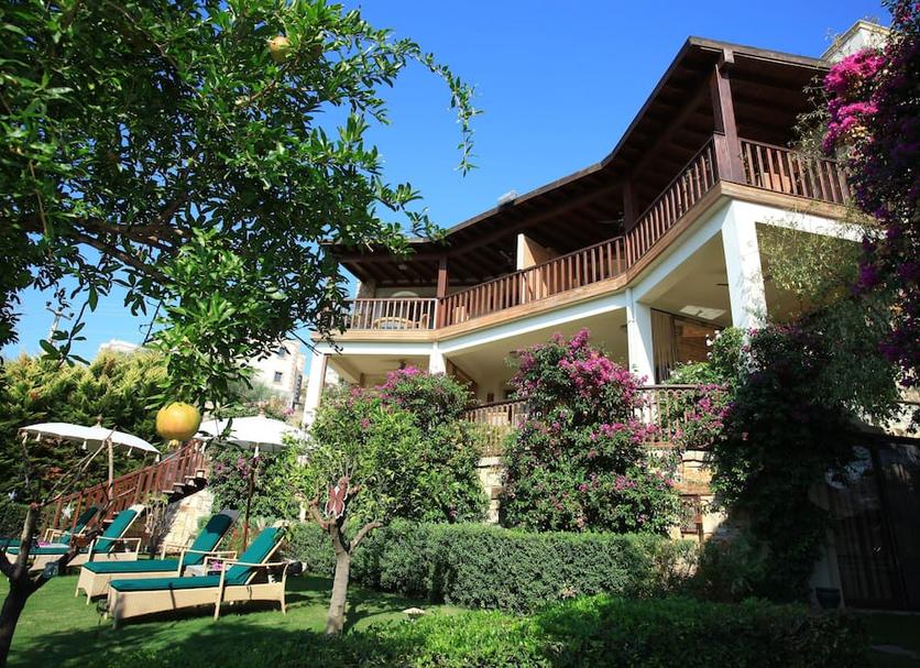 Vista del exterior Foto