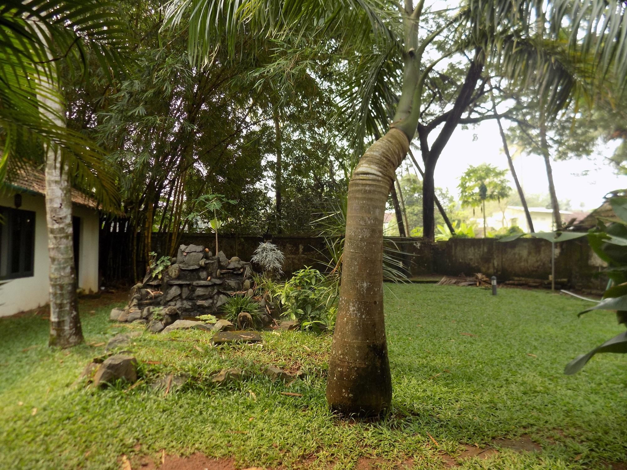 Vista del exterior