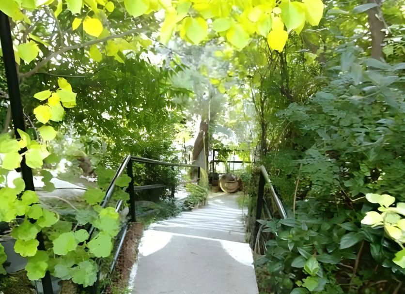 Vista del exterior Foto