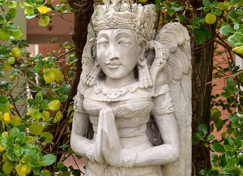 Servicio del hotel Foto