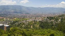 Encuentra vuelos baratos de Montería a Medellín Enrique Olaya